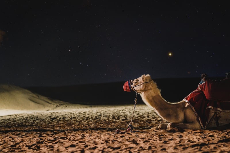 Dubai Desert Safari